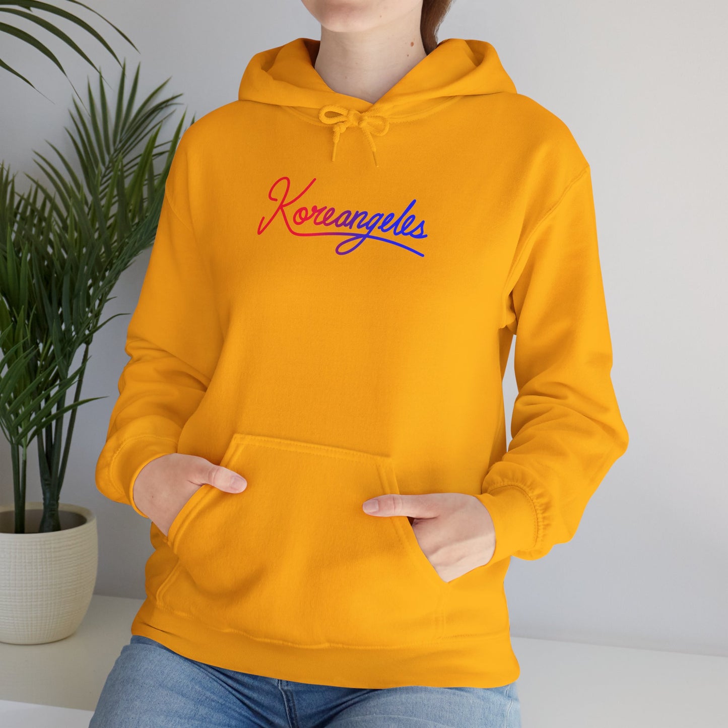 Adult Hoodie for K‑Pop x K‑Drama Fans -- Seoul × LA
